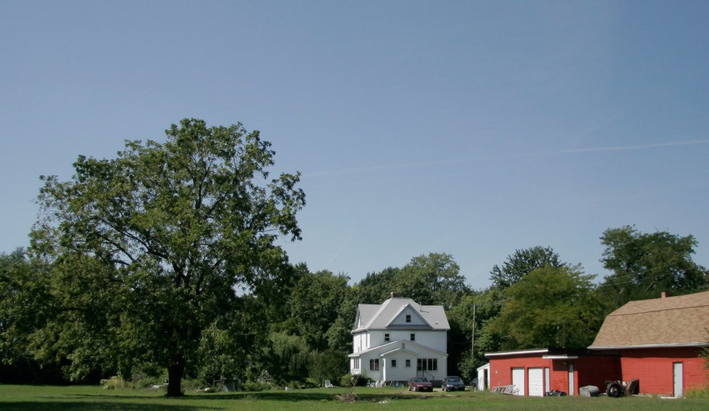 A large walnut tree, a white two-storey house and a big red outbuilding.