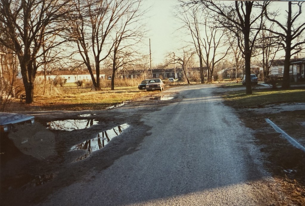 A gravel alley with standing puddles.