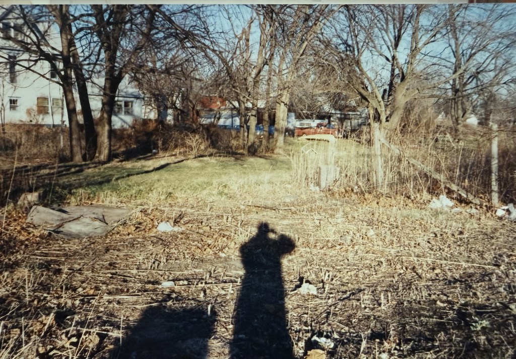An overgrown lot strewn with brush and debris.
